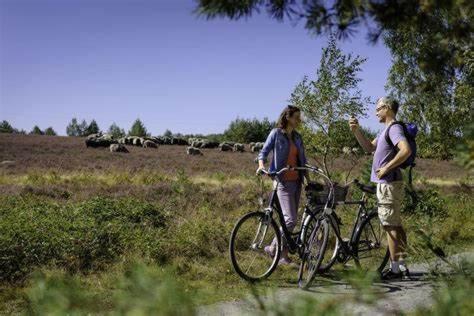 Ruhepol Fuer Mensch & Tier In Der Lueneburger Heide Daire Vierhofen Dış mekan fotoğraf